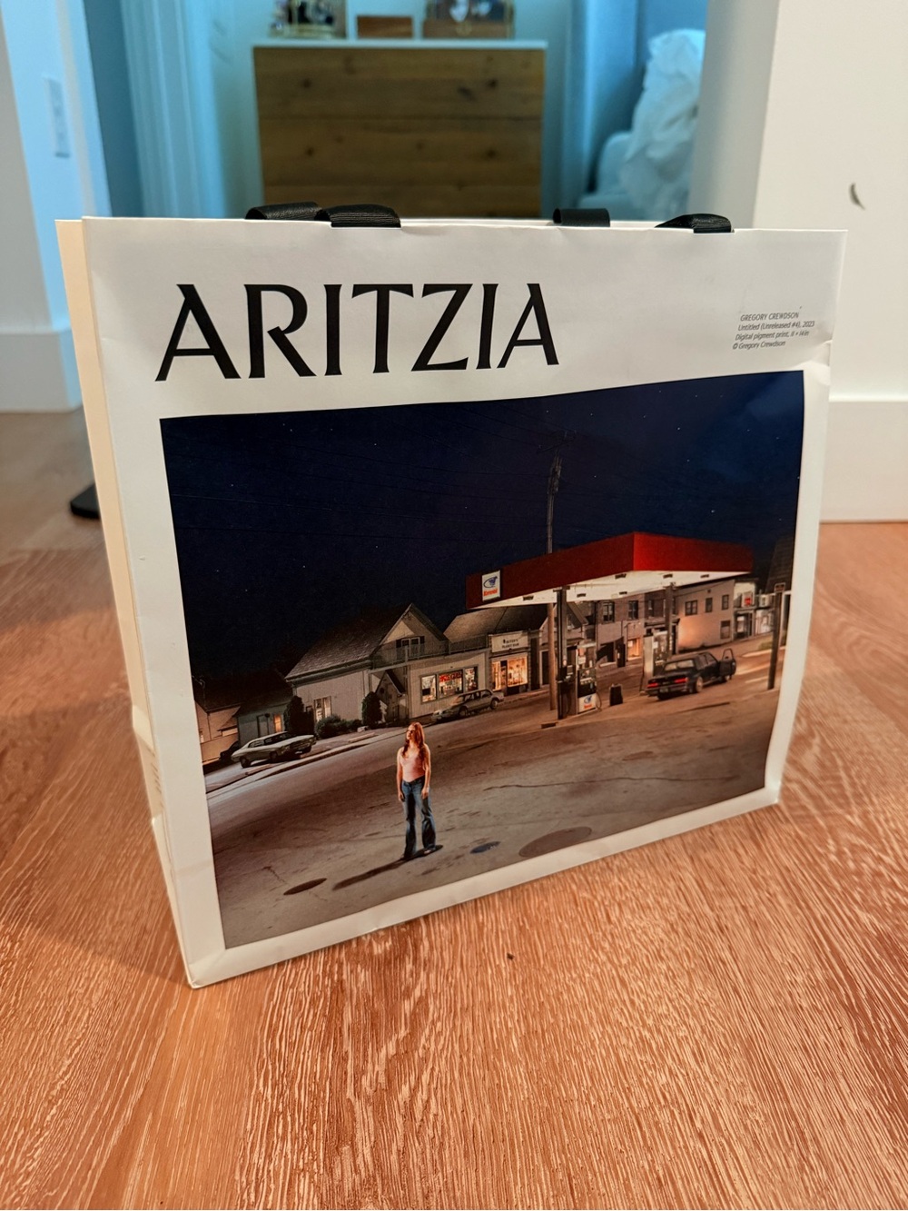 Aritzia bag